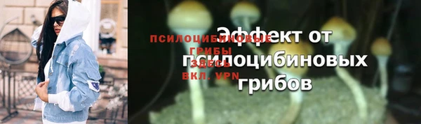 альфа пвп Магас