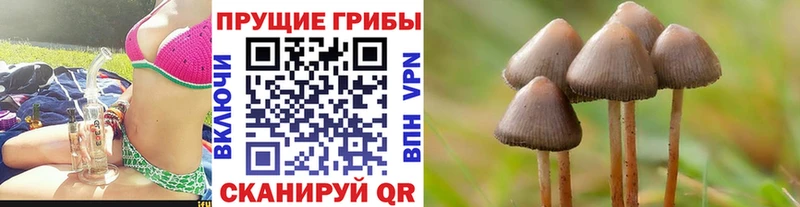 Галлюциногенные грибы ЛСД  сколько стоит  Тбилисская 